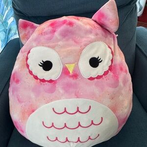 Owl Squishmallow